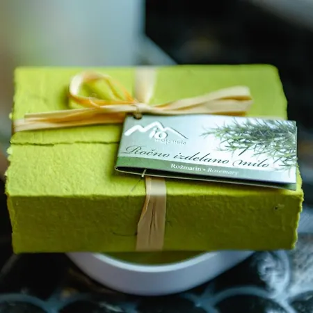 Apartma Na Hribu شقة *