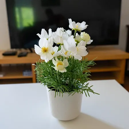 Apartament Apartmaji Na Hribu