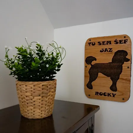 Apartmaji Na Hribu